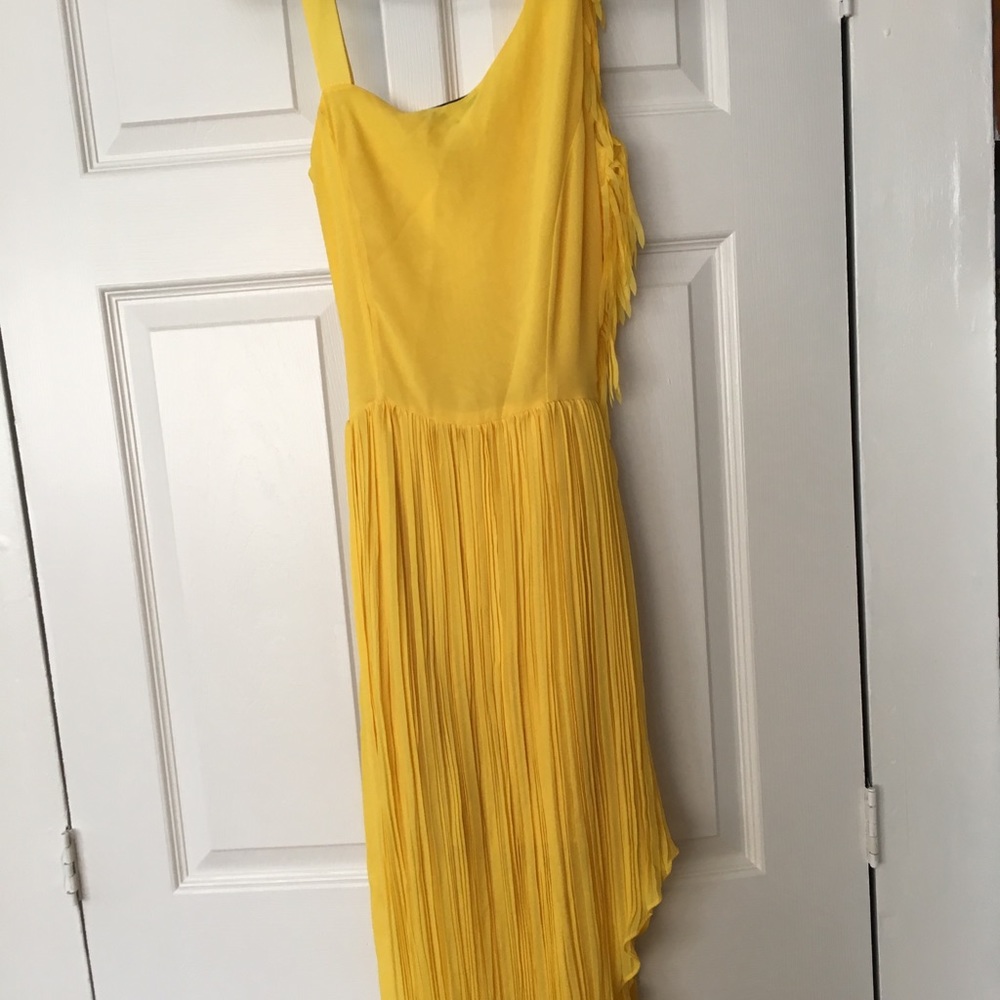 Dress - Picture 4 of 5